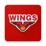 APK Wings APK